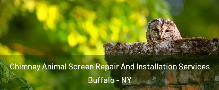  Chimney Animal Screen Repair And Installation Services Buffalo - NY
