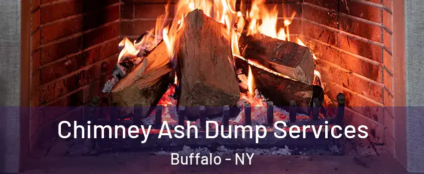 Chimney Ash Dump Services Buffalo - NY