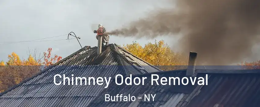  Chimney Odor Removal Buffalo - NY