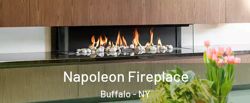  Napoleon Fireplace Buffalo - NY