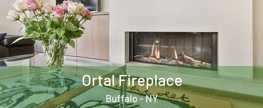  Ortal Fireplace Buffalo - NY